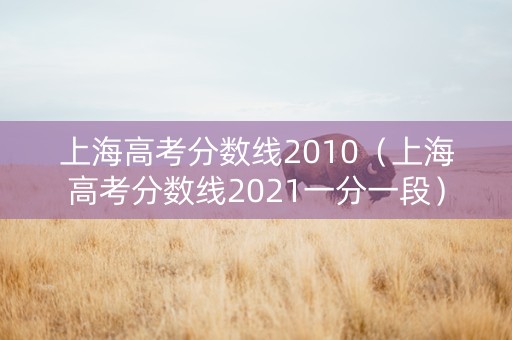上海高考分数线2010（上海高考分数线2021一分一段）