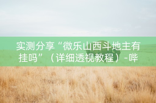 实测分享“微乐山西斗地主有挂吗”（详细透视教程）-哔哩哔哩
