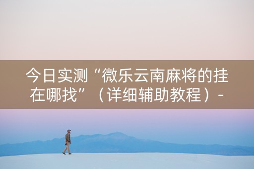 今日实测“微乐云南麻将的挂在哪找”（详细辅助教程）-哔哩哔哩