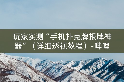 玩家实测“手机扑克牌报牌神器”（详细透视教程）-哔哩哔哩