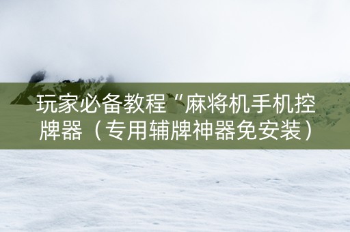 玩家必备教程“麻将机手机控牌器（专用辅牌神器免安装）