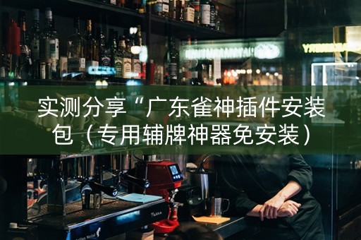 实测分享“广东雀神插件安装包（专用辅牌神器免安装）