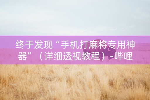 终于发现“手机打麻将专用神器”（详细透视教程）-哔哩哔哩