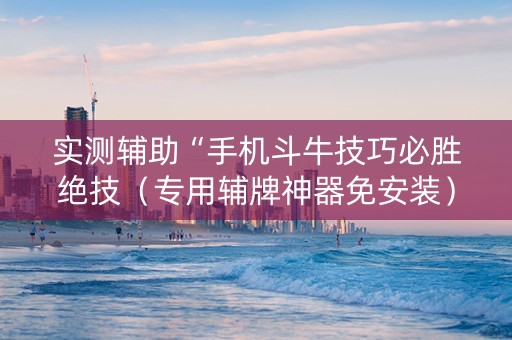 实测辅助“手机斗牛技巧必胜绝技（专用辅牌神器免安装）
