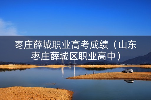 枣庄薛城职业高考成绩（山东枣庄薛城区职业高中）