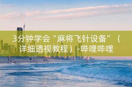 3分钟学会“麻将飞针设备”（详细透视教程）-哔哩哔哩
