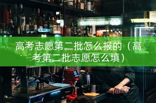 高考志愿第二批怎么报的（高考第二批志愿怎么填）