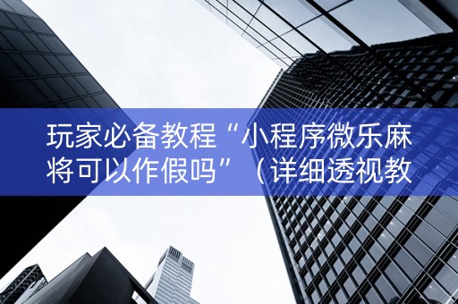 玩家必备教程“小程序微乐麻将可以作假吗”（详细透视教程）-哔哩哔哩