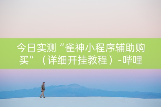 今日实测“雀神小程序辅助购买”（详细开挂教程）-哔哩哔哩