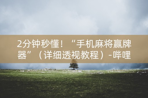 2分钟秒懂！“手机麻将赢牌器”（详细透视教程）-哔哩哔哩