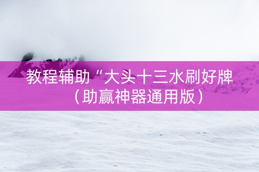 教程辅助“大头十三水刷好牌（助赢神器通用版）