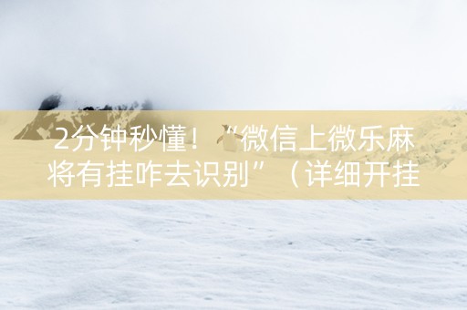 2分钟秒懂！“微信上微乐麻将有挂咋去识别”（详细开挂教程）-哔哩哔哩
