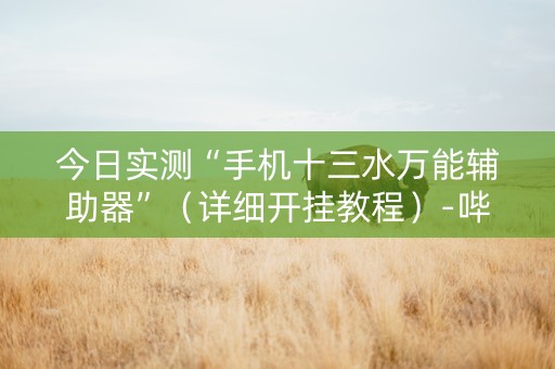 今日实测“手机十三水万能辅助器”（详细开挂教程）-哔哩哔哩