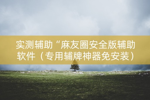 实测辅助“麻友圈安全版辅助软件（专用辅牌神器免安装）