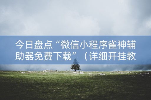 今日盘点“微信小程序雀神辅助器免费下载”（详细开挂教程）-哔哩哔哩