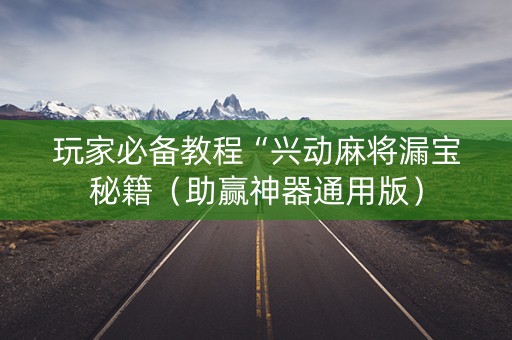 玩家必备教程“兴动麻将漏宝秘籍（助赢神器通用版）