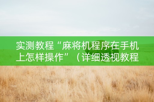 实测教程“麻将机程序在手机上怎样操作”（详细透视教程）-哔哩哔哩