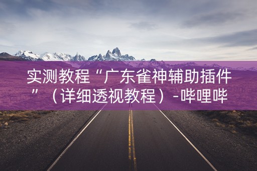 实测教程“广东雀神辅助插件”（详细透视教程）-哔哩哔哩