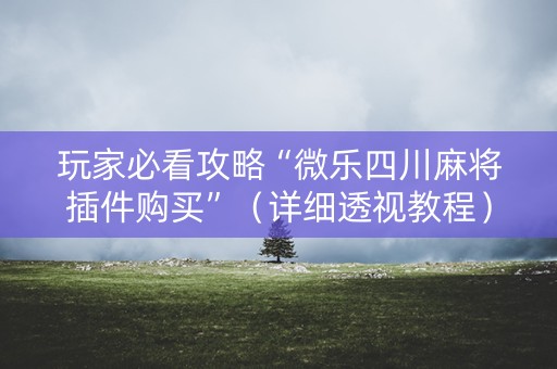 玩家必看攻略“微乐四川麻将插件购买”（详细透视教程）-哔哩哔哩