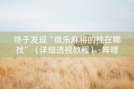 终于发现“微乐麻将的挂在哪找”（详细透视教程）-哔哩哔哩