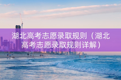 湖北高考志愿录取规则（湖北高考志愿录取规则详解）