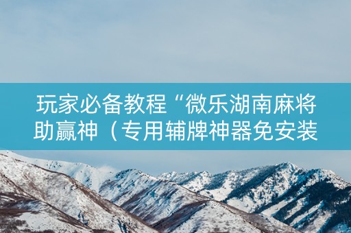 玩家必备教程“微乐湖南麻将助赢神（专用辅牌神器免安装）