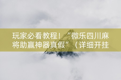 玩家必看教程！“微乐四川麻将助赢神器真假”（详细开挂教程）-哔哩哔哩