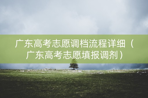 广东高考志愿调档流程详细（广东高考志愿填报调剂）