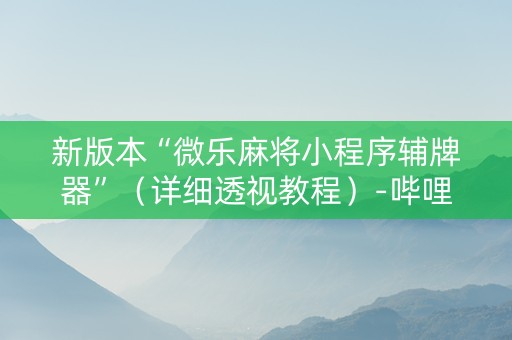 新版本“微乐麻将小程序辅牌器”（详细透视教程）-哔哩哔哩
