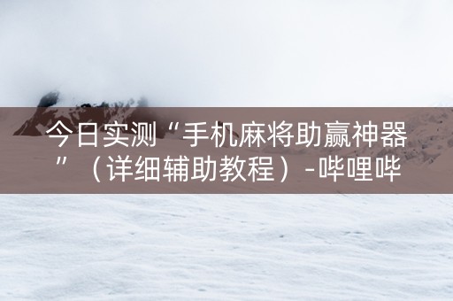今日实测“手机麻将助赢神器”（详细辅助教程）-哔哩哔哩