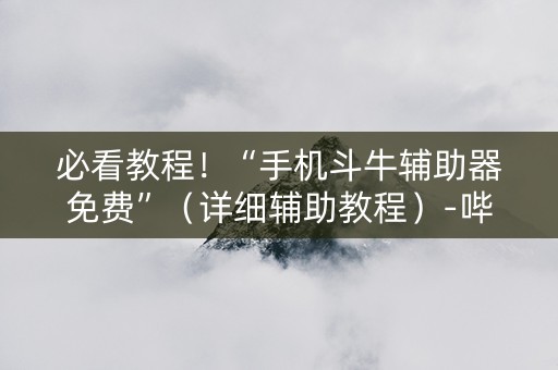 必看教程！“手机斗牛辅助器免费”（详细辅助教程）-哔哩哔哩