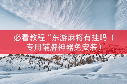 必看教程“东游麻将有挂吗（专用辅牌神器免安装）