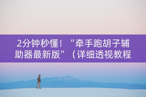 2分钟秒懂！“牵手跑胡子辅助器最新版”（详细透视教程）-哔哩哔哩