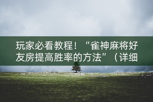 玩家必看教程！“雀神麻将好友房提高胜率的方法”（详细透视教程）-哔哩哔哩