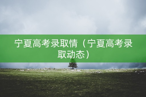 宁夏高考录取情（宁夏高考录取动态）
