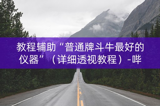 教程辅助“普通牌斗牛最好的仪器”（详细透视教程）-哔哩哔哩