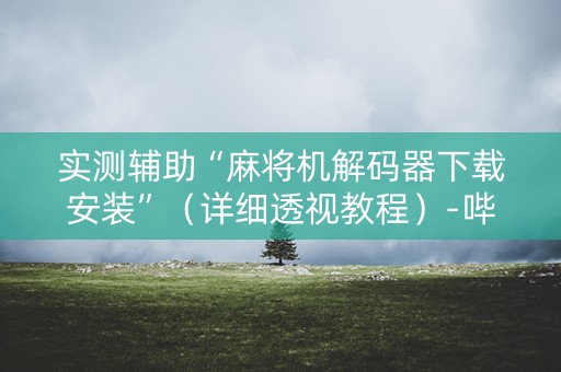 实测辅助“麻将机解码器下载安装”（详细透视教程）-哔哩哔哩