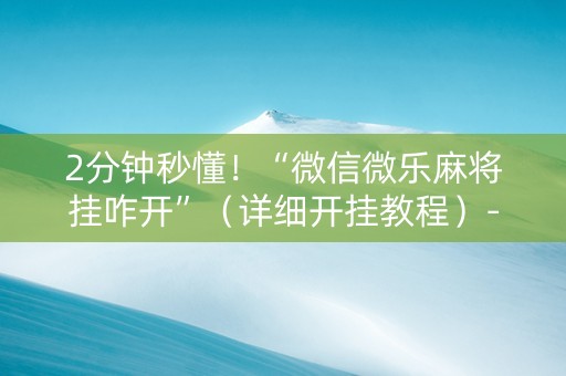 2分钟秒懂！“微信微乐麻将挂咋开”（详细开挂教程）-哔哩哔哩