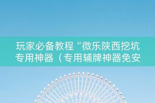 玩家必备教程“微乐陕西挖坑专用神器（专用辅牌神器免安装）