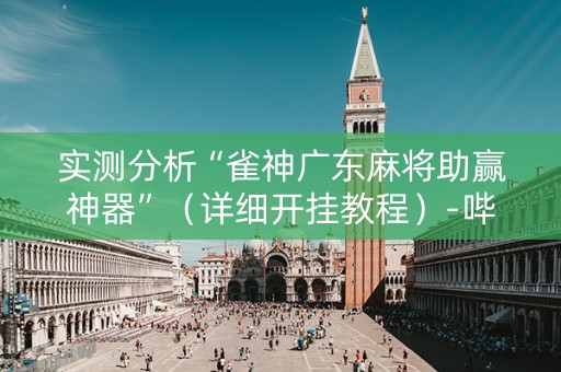 实测分析“雀神广东麻将助赢神器”（详细开挂教程）-哔哩哔哩