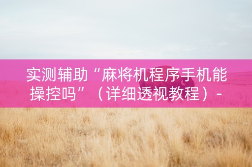 实测辅助“麻将机程序手机能操控吗”（详细透视教程）-哔哩哔哩