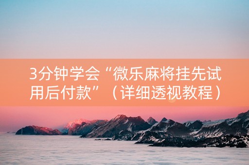 3分钟学会“微乐麻将挂先试用后付款”（详细透视教程）-哔哩哔哩