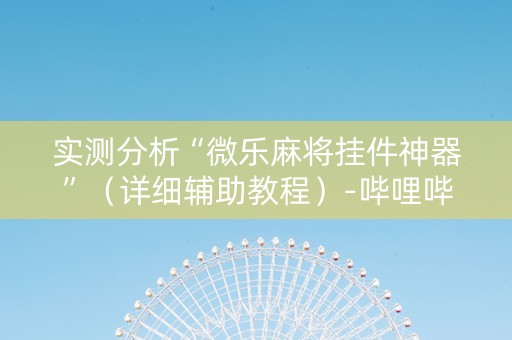 实测分析“微乐麻将挂件神器”（详细辅助教程）-哔哩哔哩