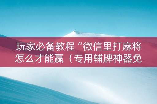 玩家必备教程“微信里打麻将怎么才能赢（专用辅牌神器免安装）
