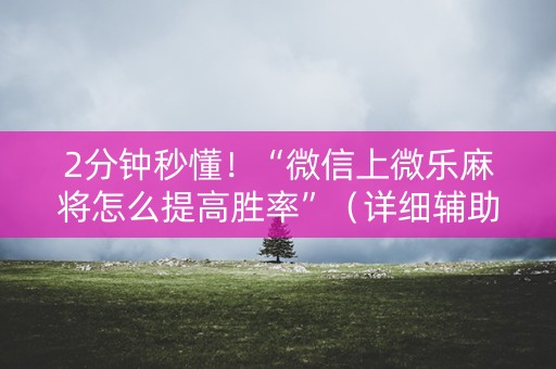 2分钟秒懂！“微信上微乐麻将怎么提高胜率”（详细辅助教程）-哔哩哔哩