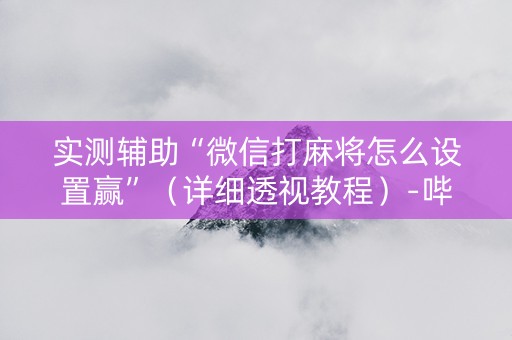 实测辅助“微信打麻将怎么设置赢”（详细透视教程）-哔哩哔哩