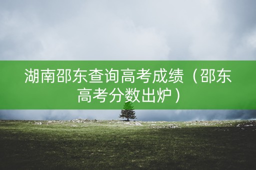 湖南邵东查询高考成绩（邵东高考分数出炉）
