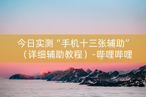今日实测“手机十三张辅助”（详细辅助教程）-哔哩哔哩