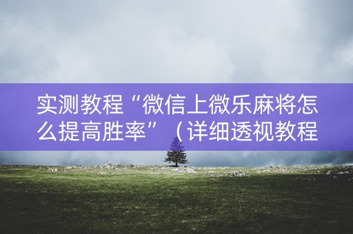 实测教程“微信上微乐麻将怎么提高胜率”（详细透视教程）-哔哩哔哩