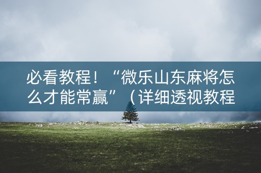 必看教程！“微乐山东麻将怎么才能常赢”（详细透视教程）-哔哩哔哩